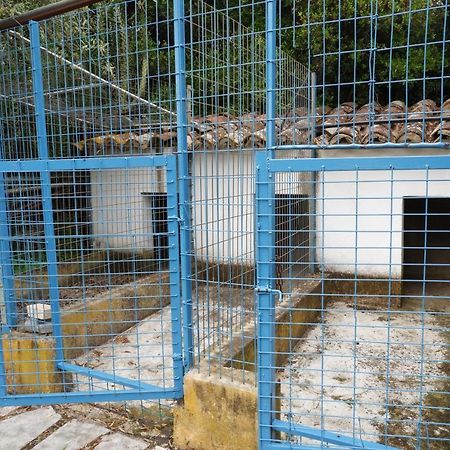 Horta De Pepinais Βίλα Elvas Εξωτερικό φωτογραφία