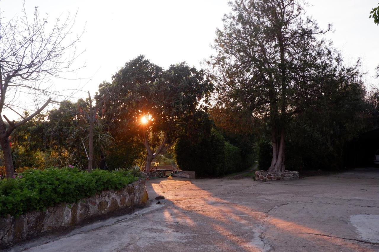 Horta De Pepinais Βίλα Elvas Εξωτερικό φωτογραφία
